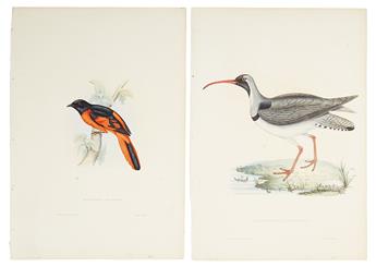 GOULD, JOHN. Six hand-colored lithographed plates,